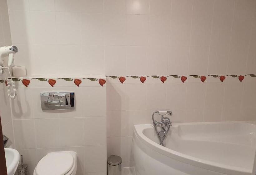 キングサイズベッドのスタンダードルーム, Baśniowa