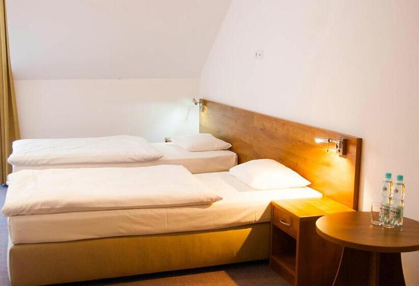 스탠다드 싱글 룸, Drohicki