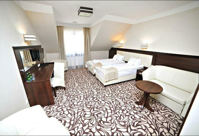 חדר סטנדרט, Pałac W Konarach