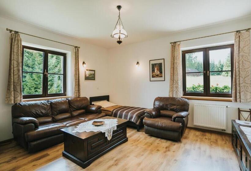 带1个卧室的公寓, Grzechowisko