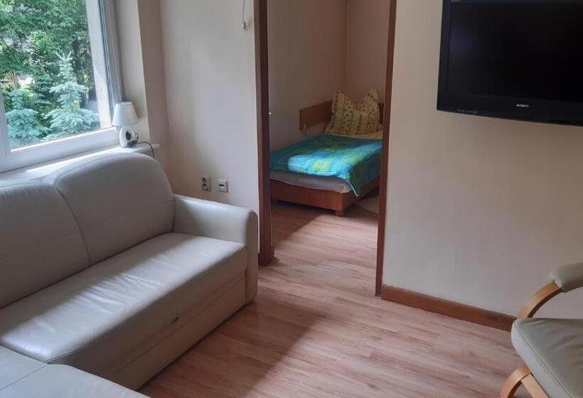 1ベッドルームアパートメント, Pohulanka