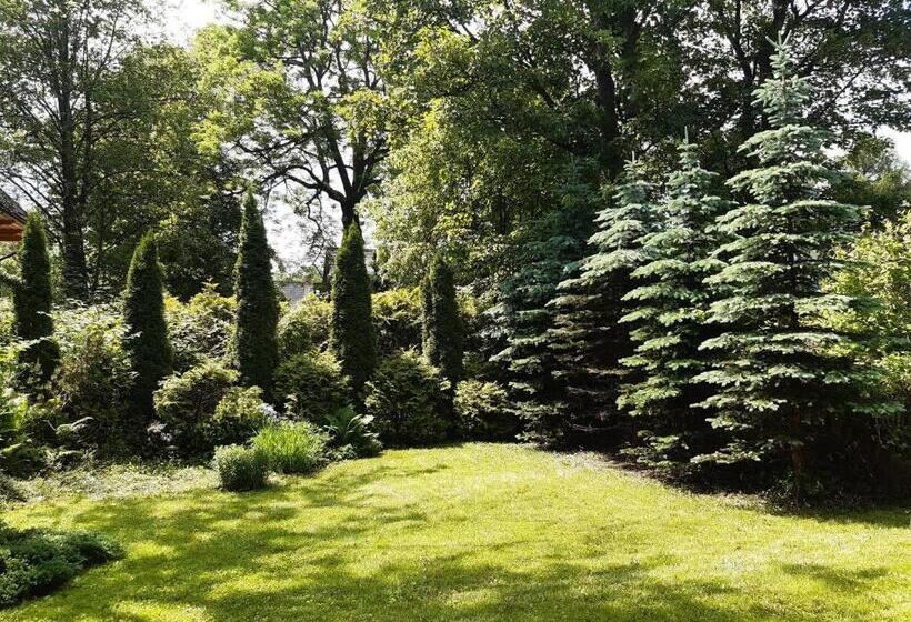 1ベッドルームアパートメント, Pohulanka