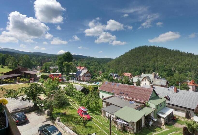 إستديو قياسى مزود بشرفة, Topaz