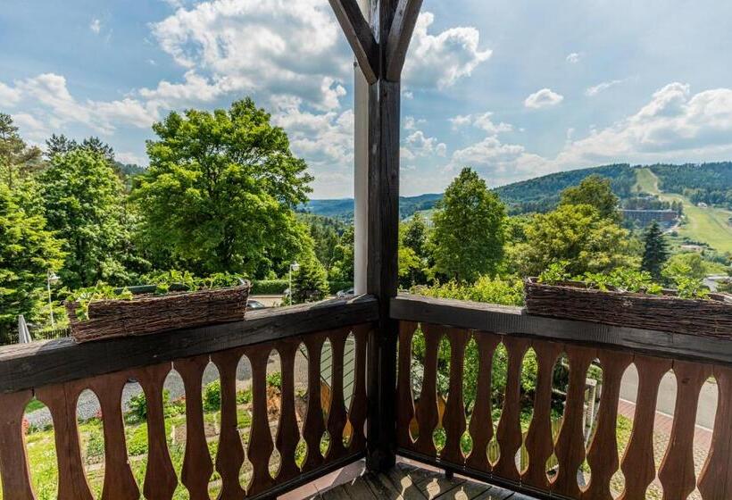 استودیو استاندارد با بالکن, Willa Halinówka