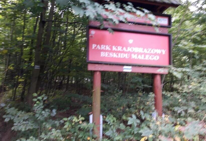 带大床的标准间, Zajazd Ponikiew   Noclegi Wadowice