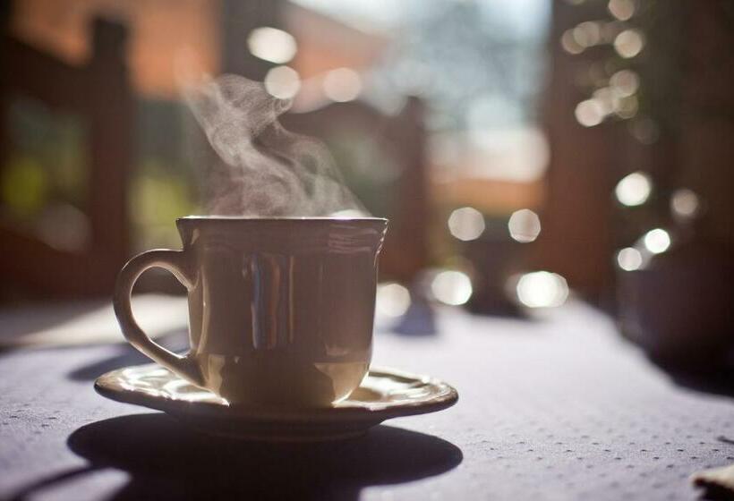 חדר סטנדרט, Willa Trela