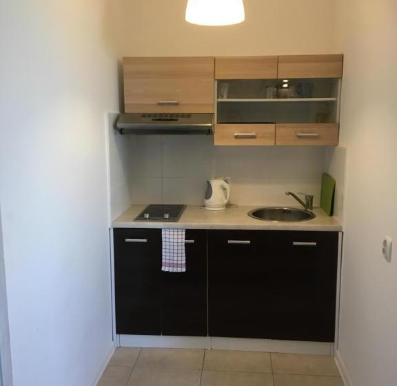 استودیوی استاندارد, Hostel Przed świtem