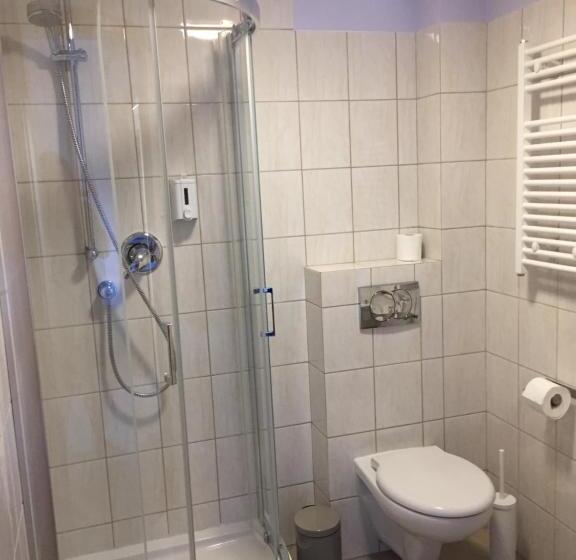 غرفة قياسية فردية, Da Vinci