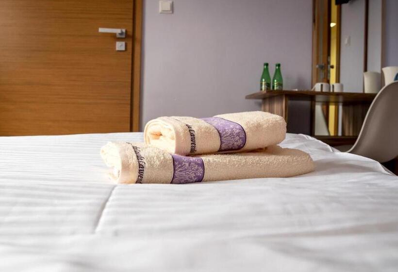 غرفة قياسية, Da Vinci