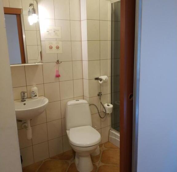 Номер Стандарт, Górsko