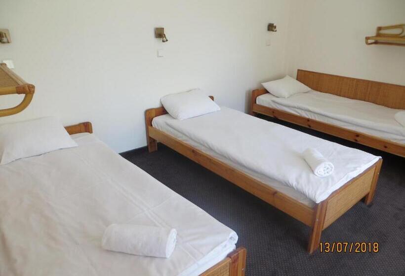 اتاق استاندارد سه نفره, Willa Safona