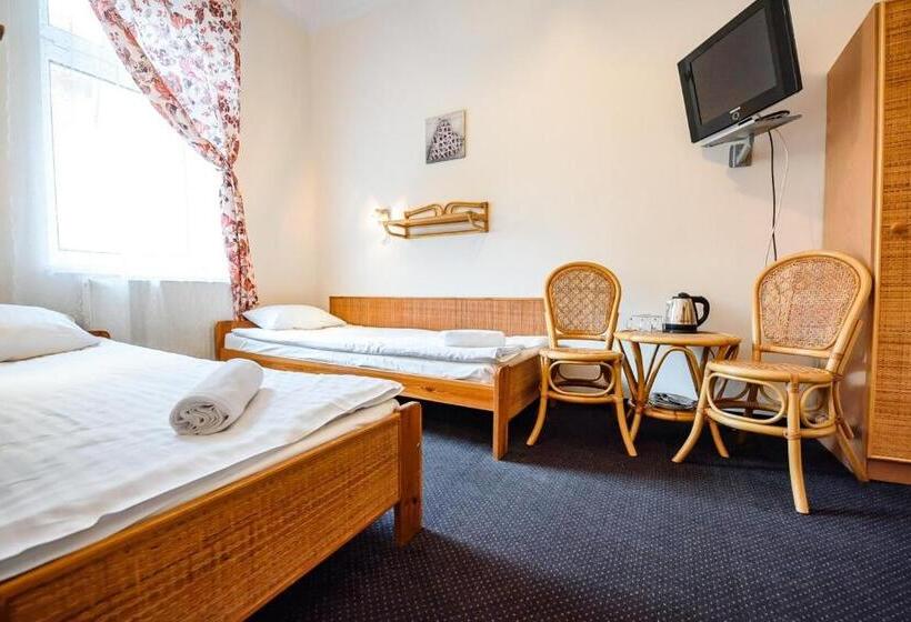 اتاق استاندارد چهار تخته, Willa Safona