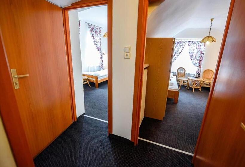 اتاق استاندارد چهار تخته, Willa Safona