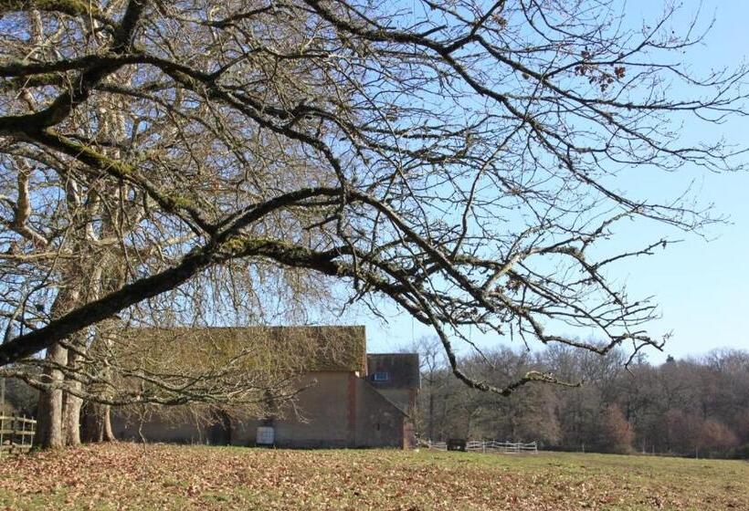 דירת חדר, Gîte Les Grandes Maisons Cœur Forêt D Orléans Et Espace Bien être Jacuzzi Hammam Spa
