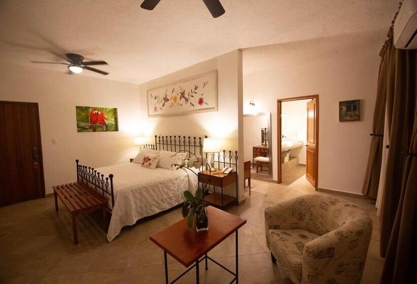 جناح ديلوكس سرير كينج, Ex Hacienda Santa Cecilia