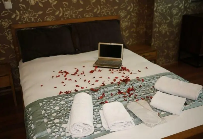 اتاق لوکس یک تخته, Safir Hotels Silivri