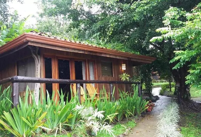 プレミアムルーム, Kokoro Mineral Hot Springs