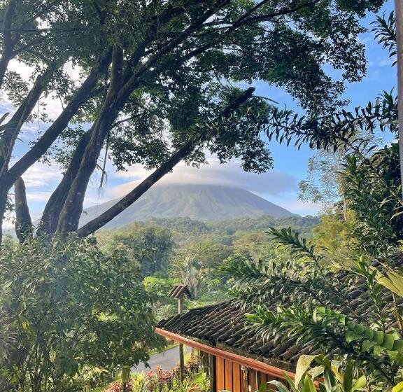 高级客房, Kokoro Mineral Hot Springs