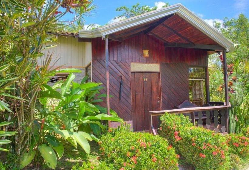 高级大房间, Kokoro Mineral Hot Springs