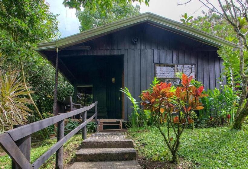 豪华家庭房间, Kokoro Mineral Hot Springs