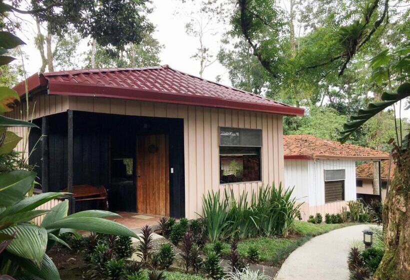 高级家庭房间, Kokoro Mineral Hot Springs