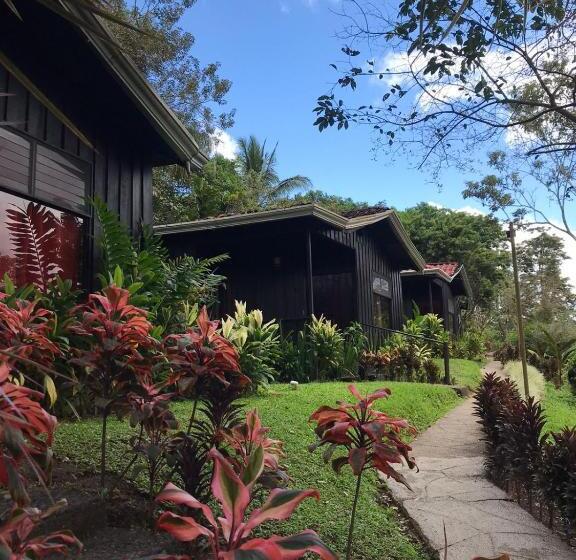 豪华家庭房间, Kokoro Mineral Hot Springs