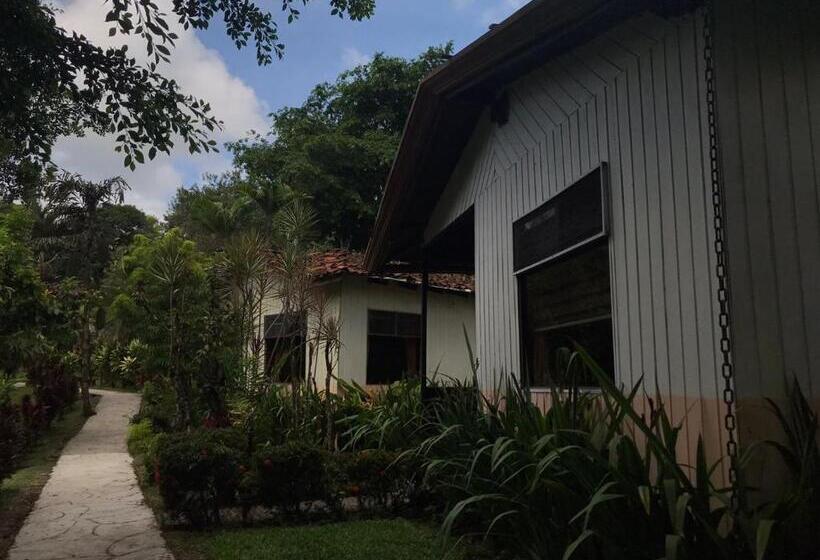 高级家庭房间, Kokoro Mineral Hot Springs