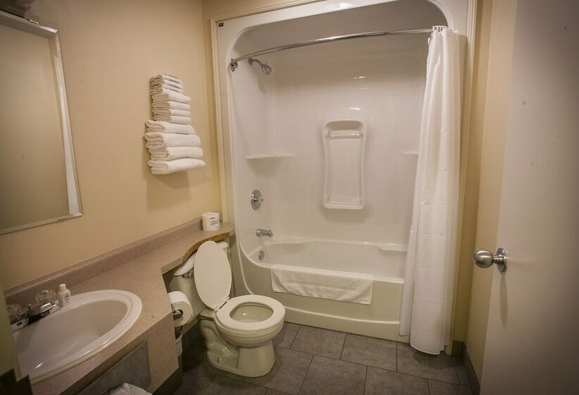 غرفة قياسية سرير مزدوج, Seacliffe Inn