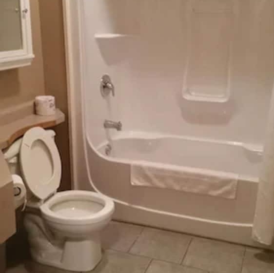 غرفه قياسيه سريرين مزدوجين, Seacliffe Inn