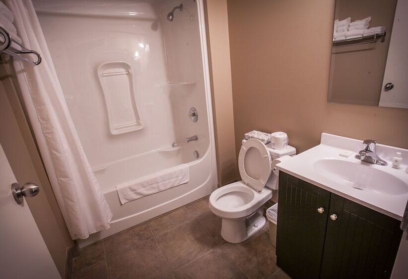 غرفه قياسيه سريرين مزدوجين, Seacliffe Inn