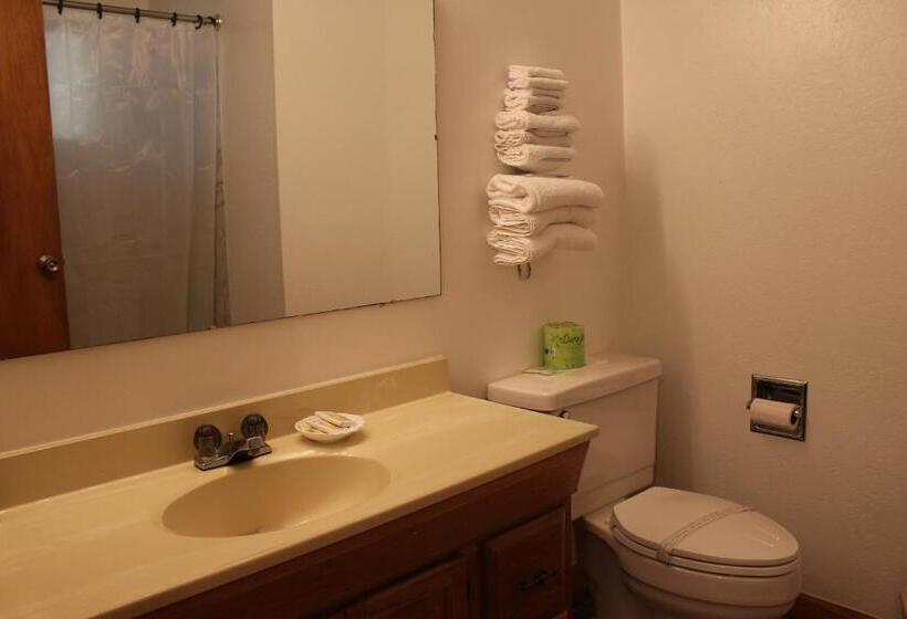 스탠다드 룸 킹사이즈 침대, Yosemite Riverside Inn