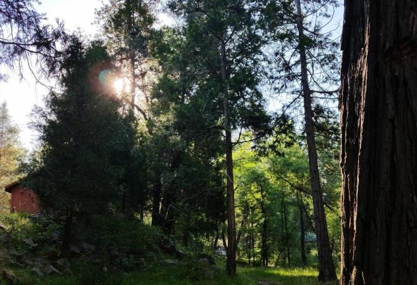 스탠다드 룸 킹사이즈 침대, Yosemite Riverside Inn