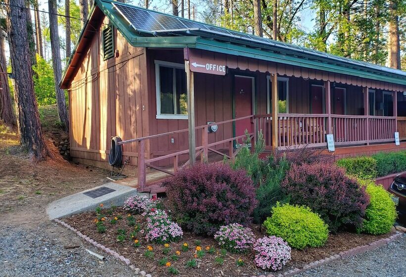 스탠다드 룸, Yosemite Riverside Inn