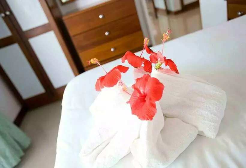 ２ベッドルームのエクゼクティブアパートメント, Madang Lodge