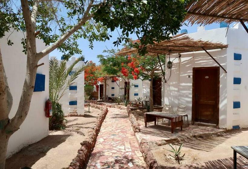 اتاق استاندارد سه نفره, Bedouins Inn Village