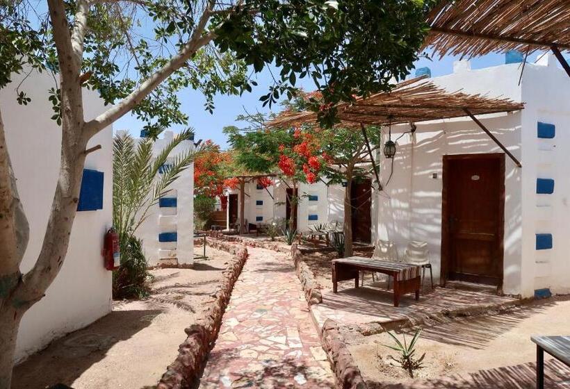 اتاق استاندارد چهار تخته, Bedouins Inn Village