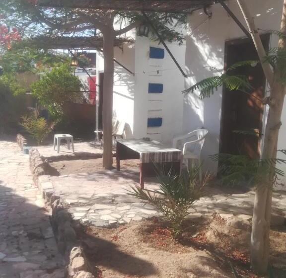 اتاق عادی یک تخته, Bedouins Inn Village