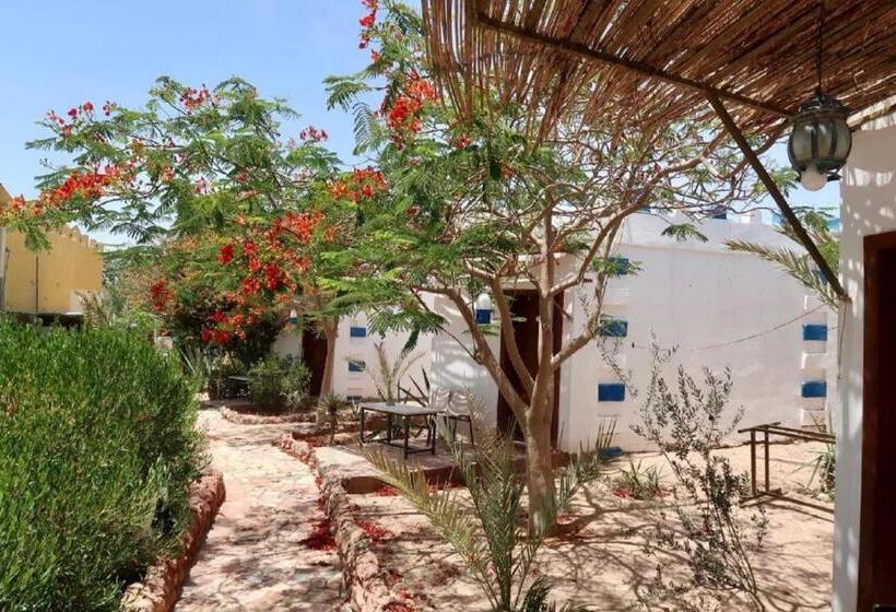 تختخواب در اتاق مشترک, Bedouins Inn Village