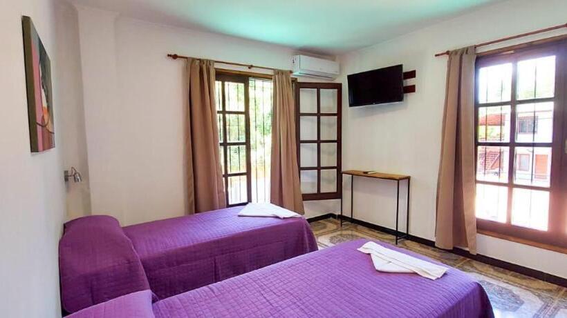 StandaardKamer, Orquídeas De La Selva