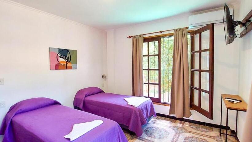 StandaardKamer, Orquídeas De La Selva