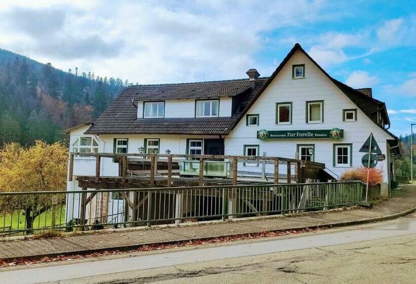 标准间, Room In Guest Room  Pension Forelle  Double Room No01