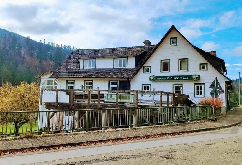 스탠다드 룸, Room In Guest Room  Pension Forelle  Double Room No01