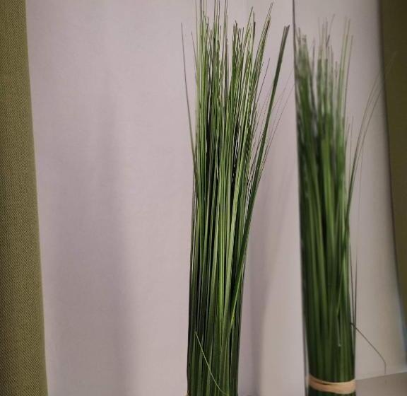 标准间, Room In Guest Room  Pension Forelle  Double Room No01