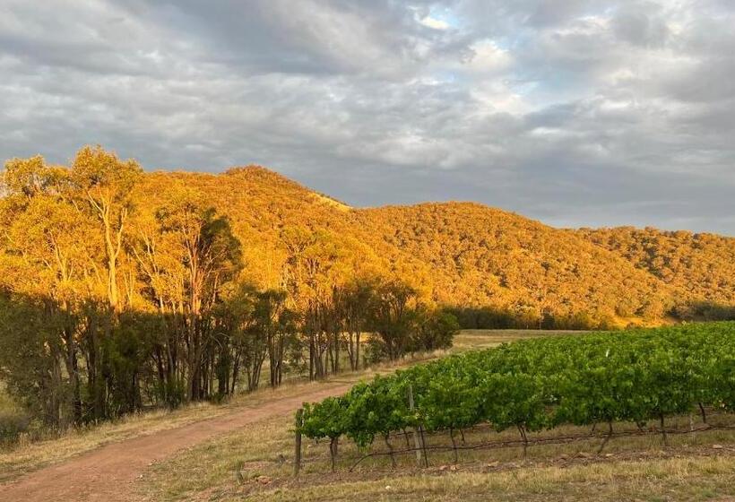 패밀리 스위트, Vineyard Stay At Mudgee