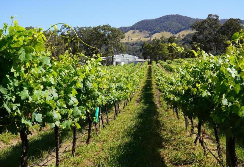 סוויטה משפחתית, Vineyard Stay At Mudgee