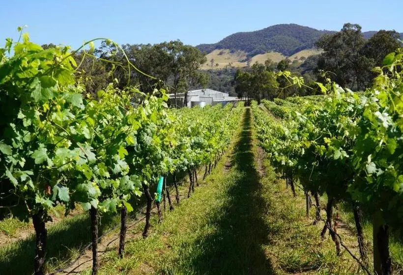 スイート（家族用）, Vineyard Stay At Mudgee
