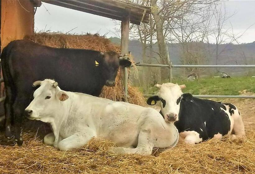 בית, חדר שינה 1, Large Farmhouse In Umbria  Swimming Pool  Cinema Room  Transparent Geodesic Dome