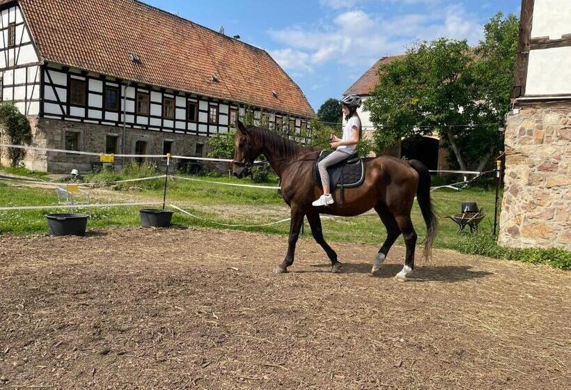 Номер Стандарт, Schwalbenhof