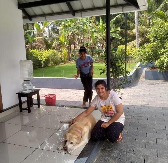 חדר דלוקס, Ev Stayz