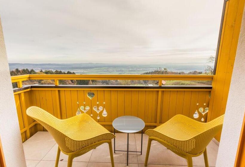 اتاق لوکس با بالکن, Vilaraj